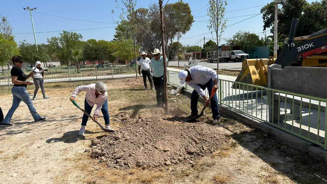 Plantan árboles en el 8 de enero
