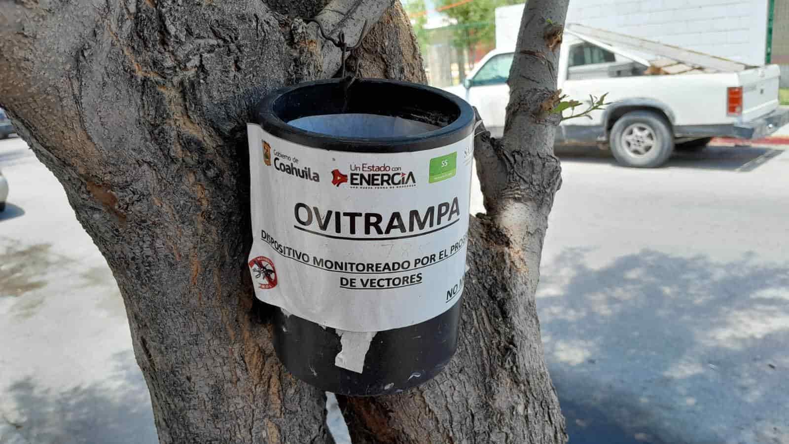 Posible nuevo contagio de dengue