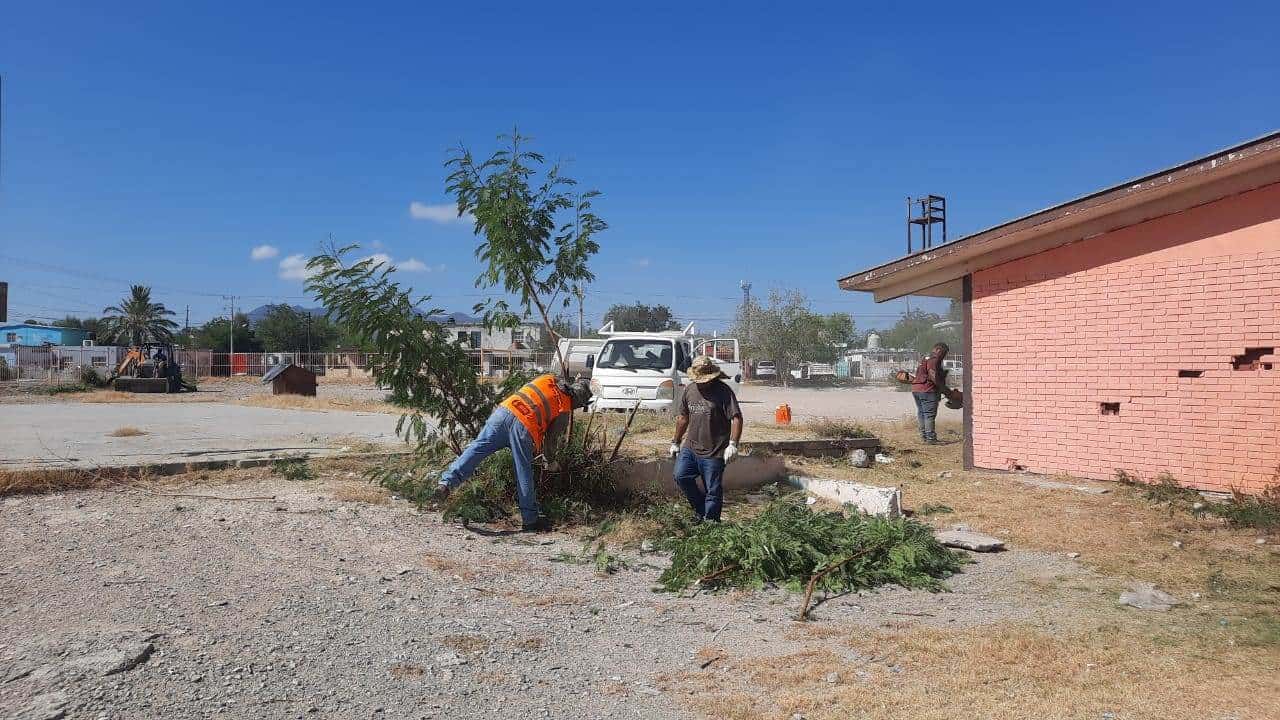 Alistan limpieza en 50 escuelas