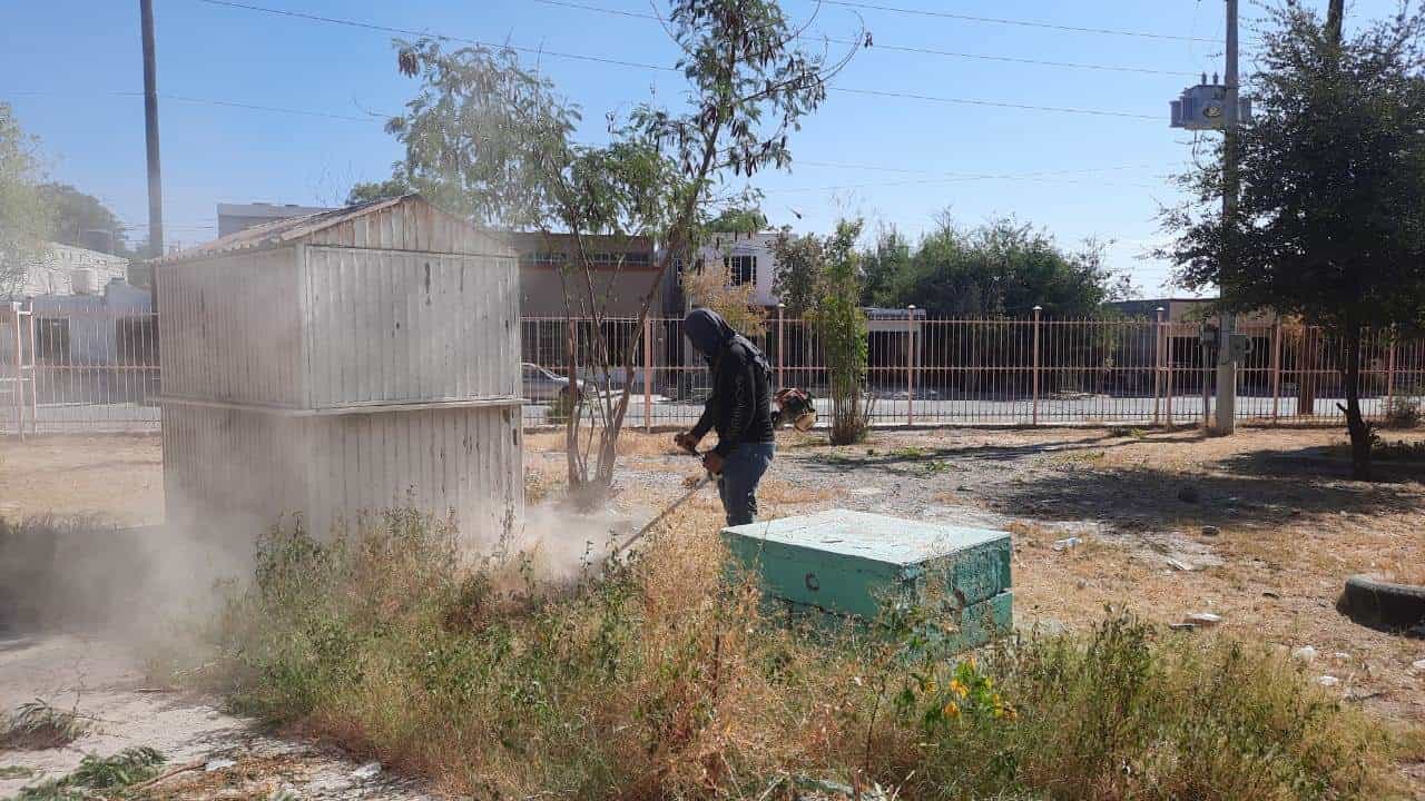 Alistan limpieza en 50 escuelas