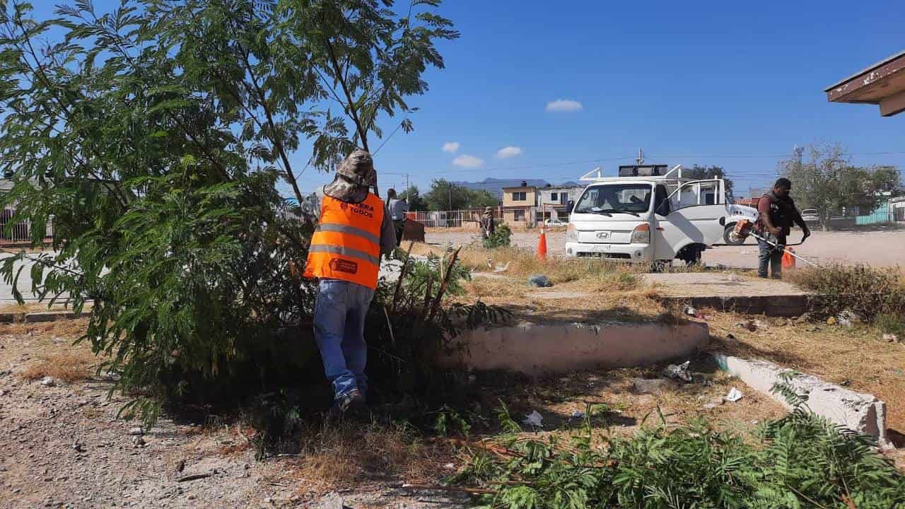 Alistan limpieza en 50 escuelas