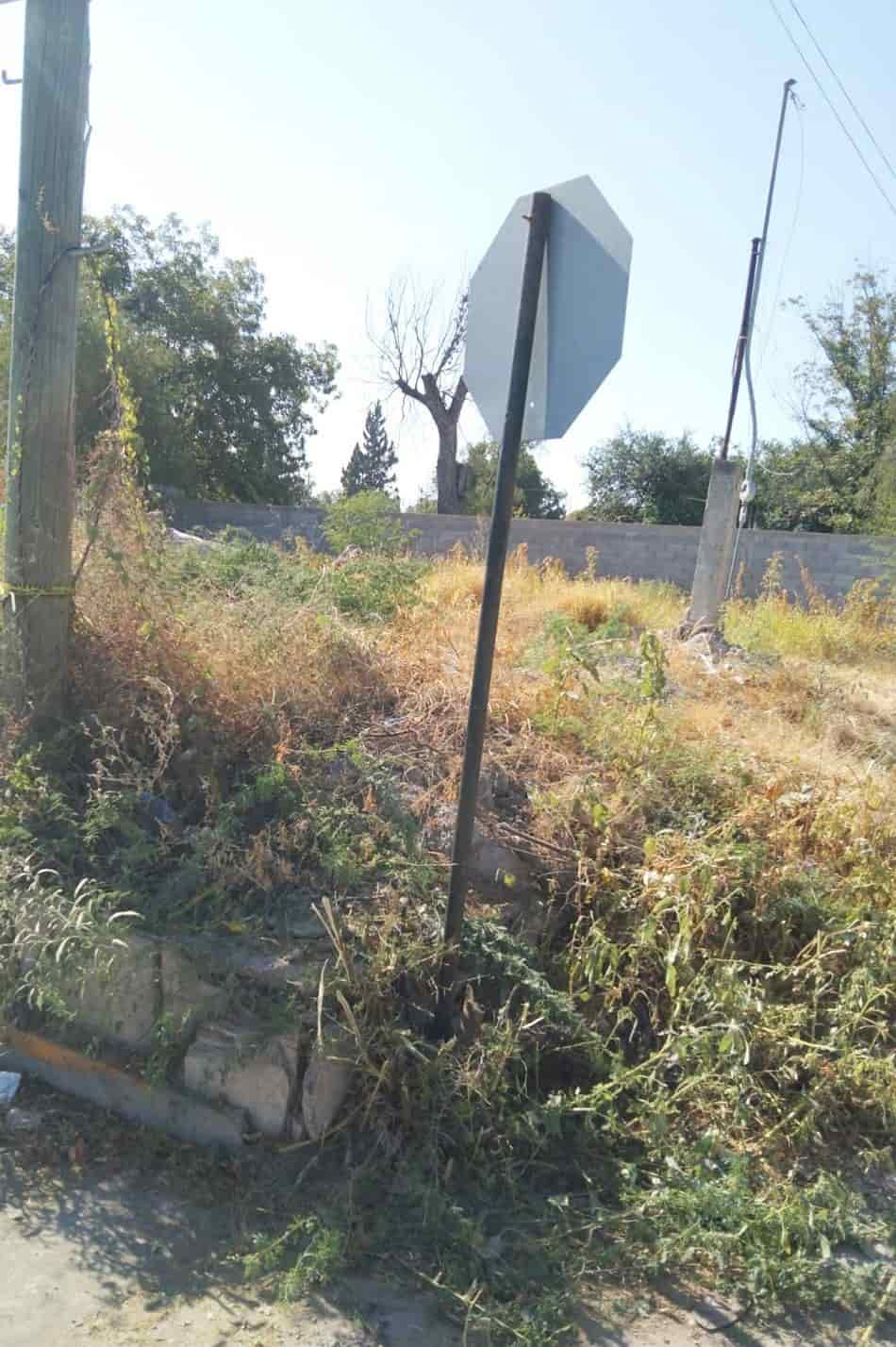 Mantienen limpieza en calles de Allende