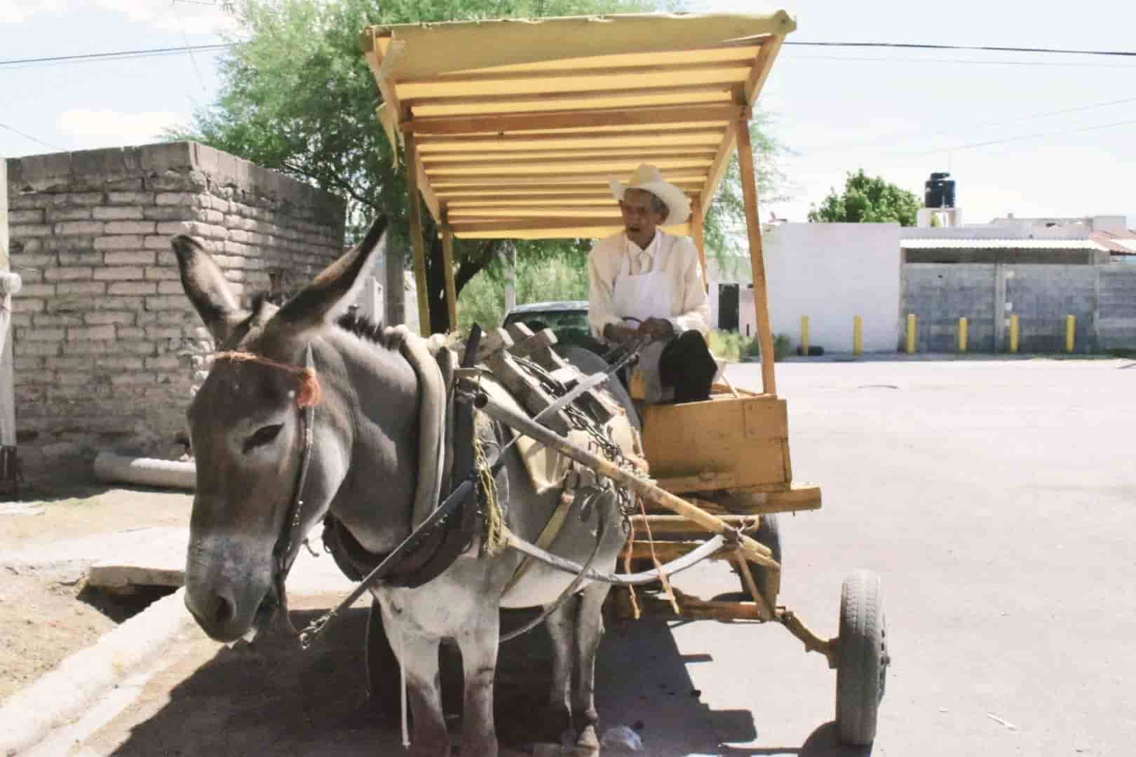 Cumple “El Tío” 100 años de vida