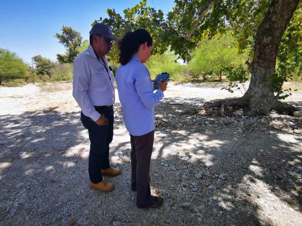 Visita el estado parque Los Novillos