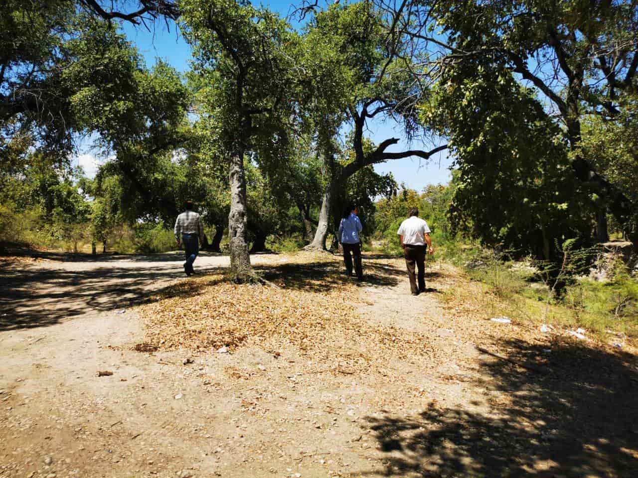 Visita el estado parque Los Novillos