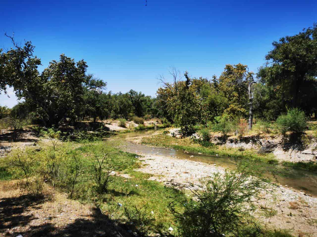 Visita el estado parque Los Novillos