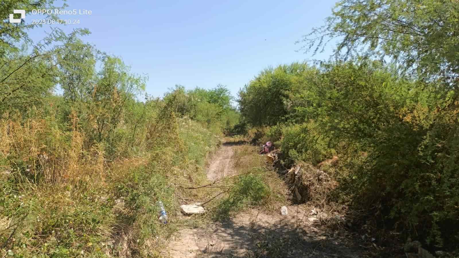 Limpia Sabinas arroyos y cauces