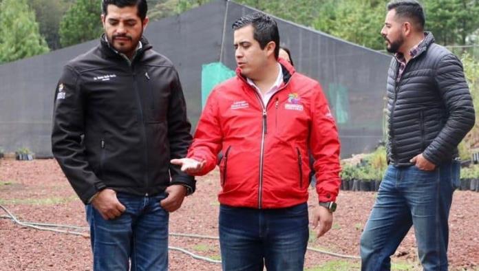 Intercambian acciones de reforestación Arteaga y Chignahuapan