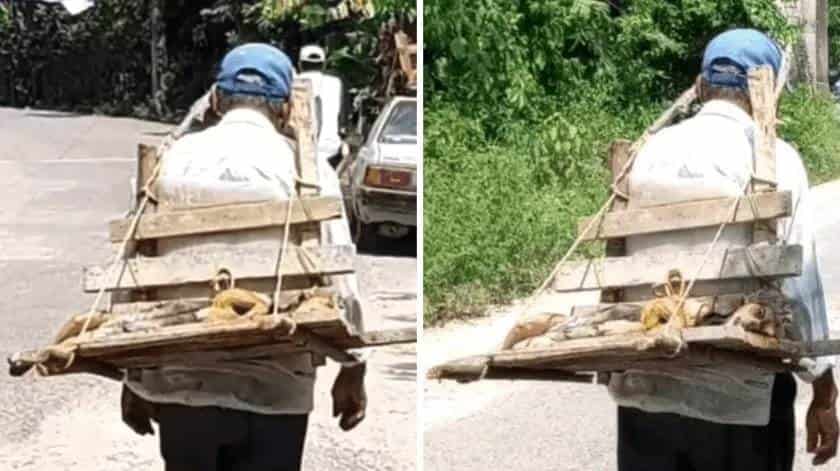 Hombre cargando en su espalda a perrita esterilizada conmueve a usuarios