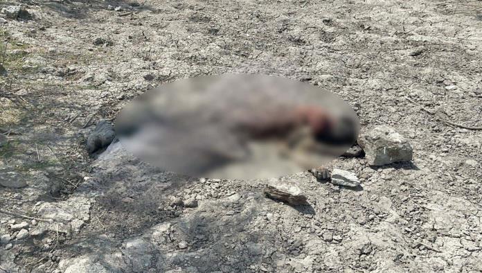 Muy difícil identificar osamenta encontrada en el río Bravo