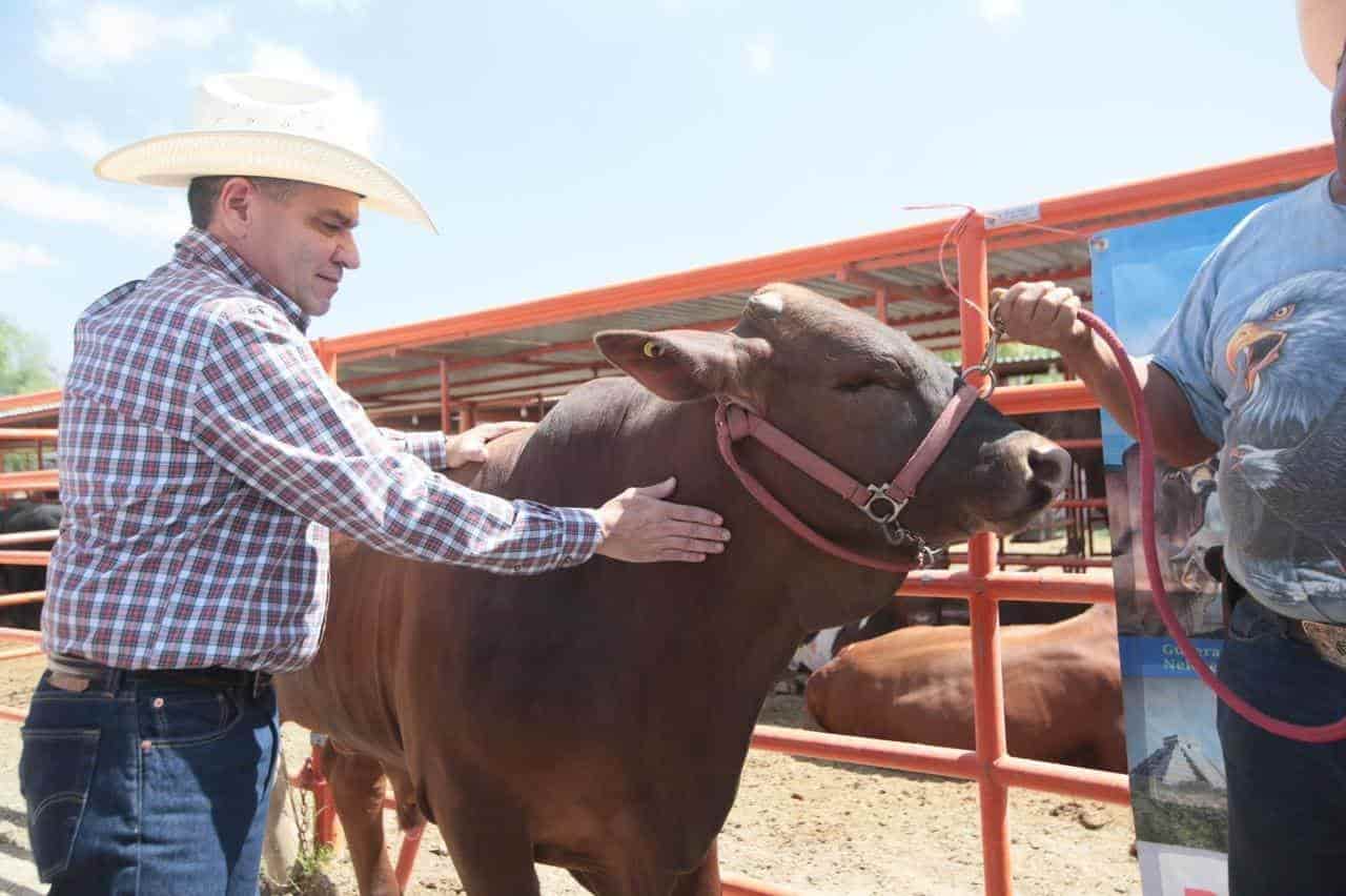 Resultados de Coahuila reflejan la unidad:MARS