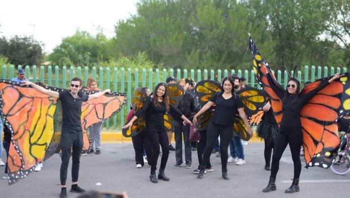 ¡Acuña se prepara para recibir a la mariposa monarca!