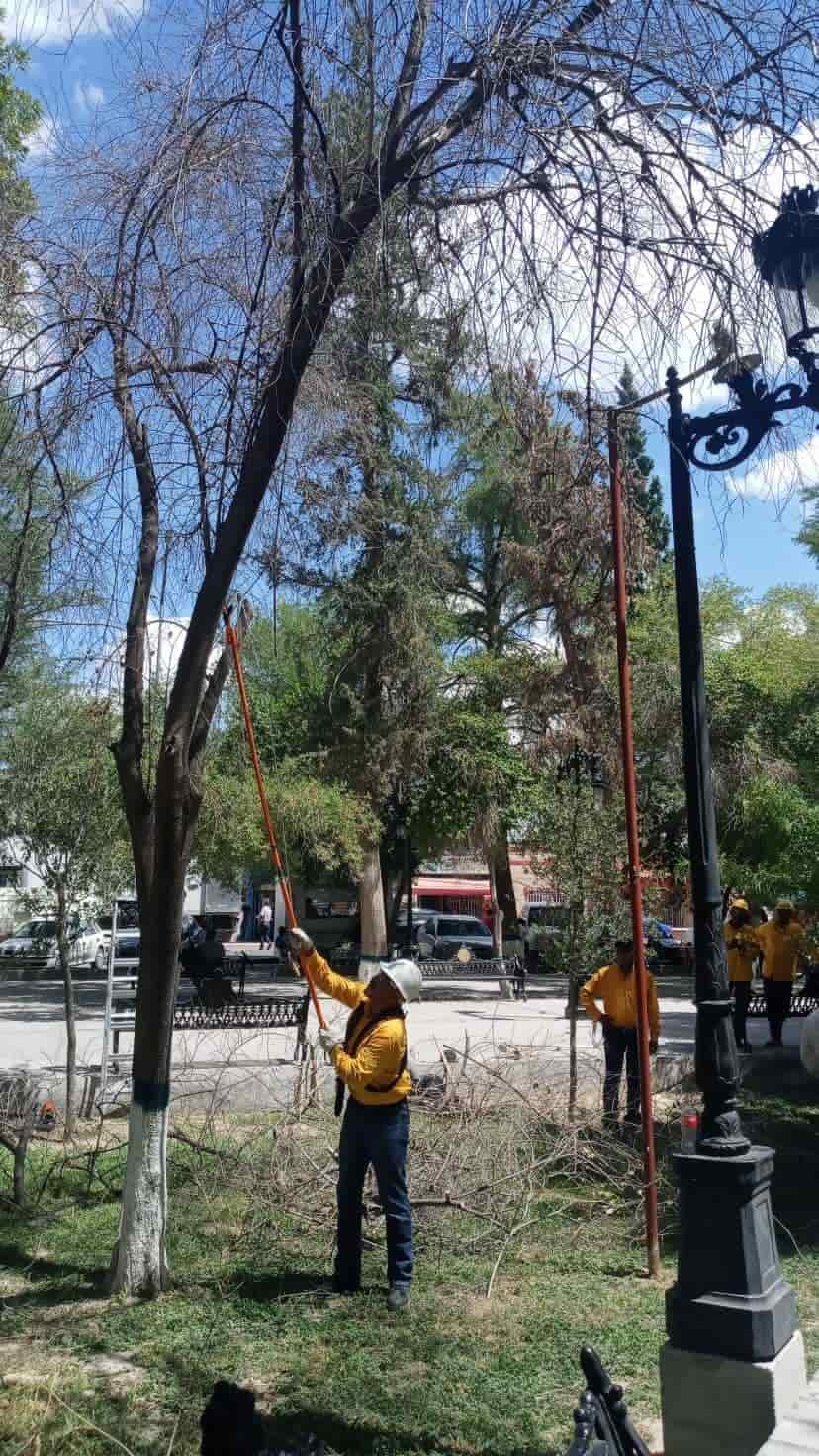 Impulsa San Buena programa ‘Podarte’