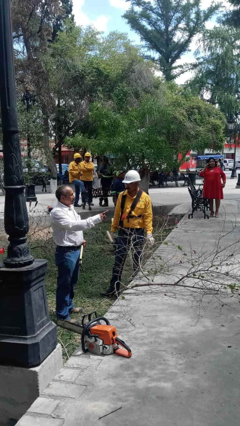 Impulsa San Buena programa ‘Podarte’