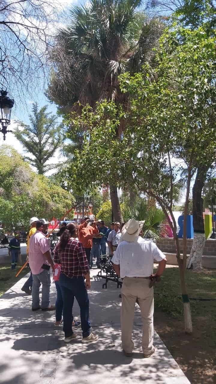 Impulsa San Buena programa ‘Podarte’