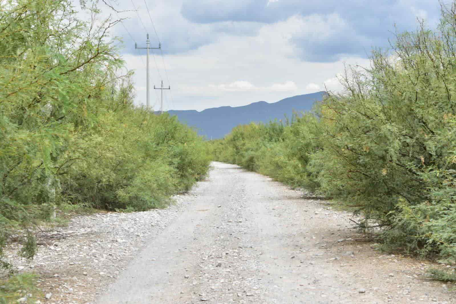 Mejora Ciénegas camino a ejido
