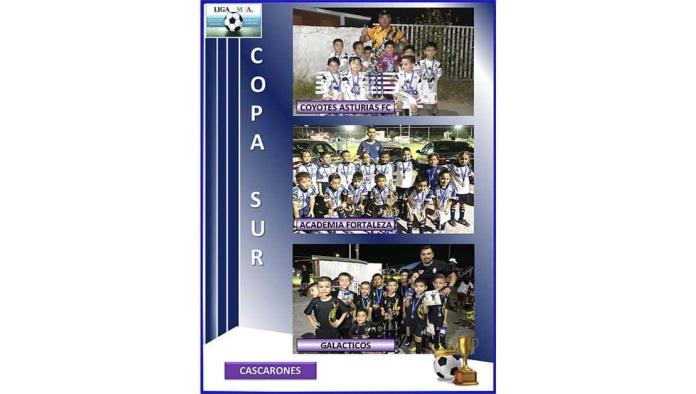 Copa del Sur ¡premia a sus campeones!
