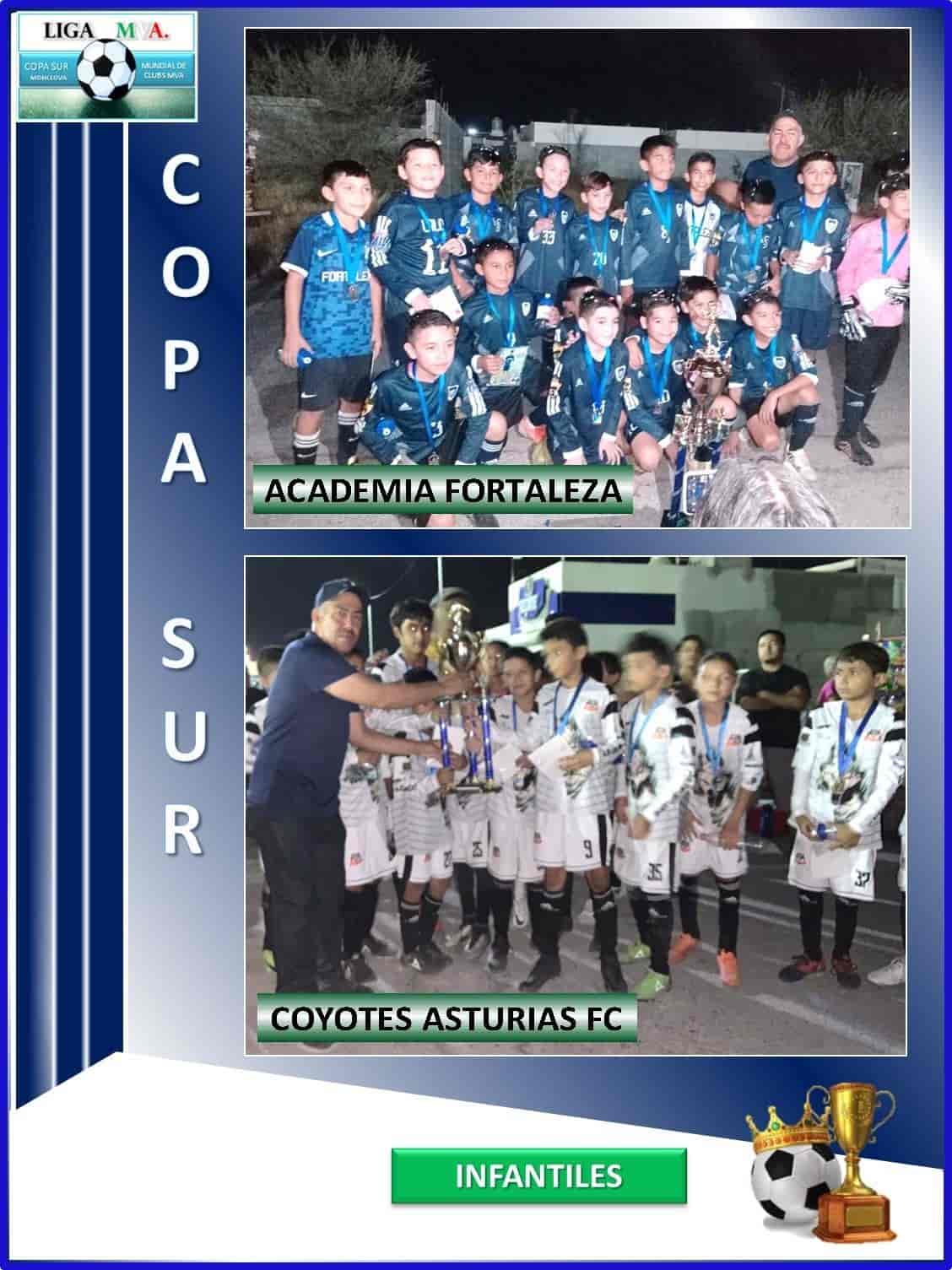Copa del Sur ¡premia a sus campeones!