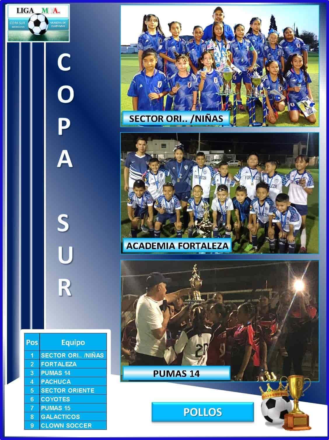 Copa del Sur ¡premia a sus campeones!