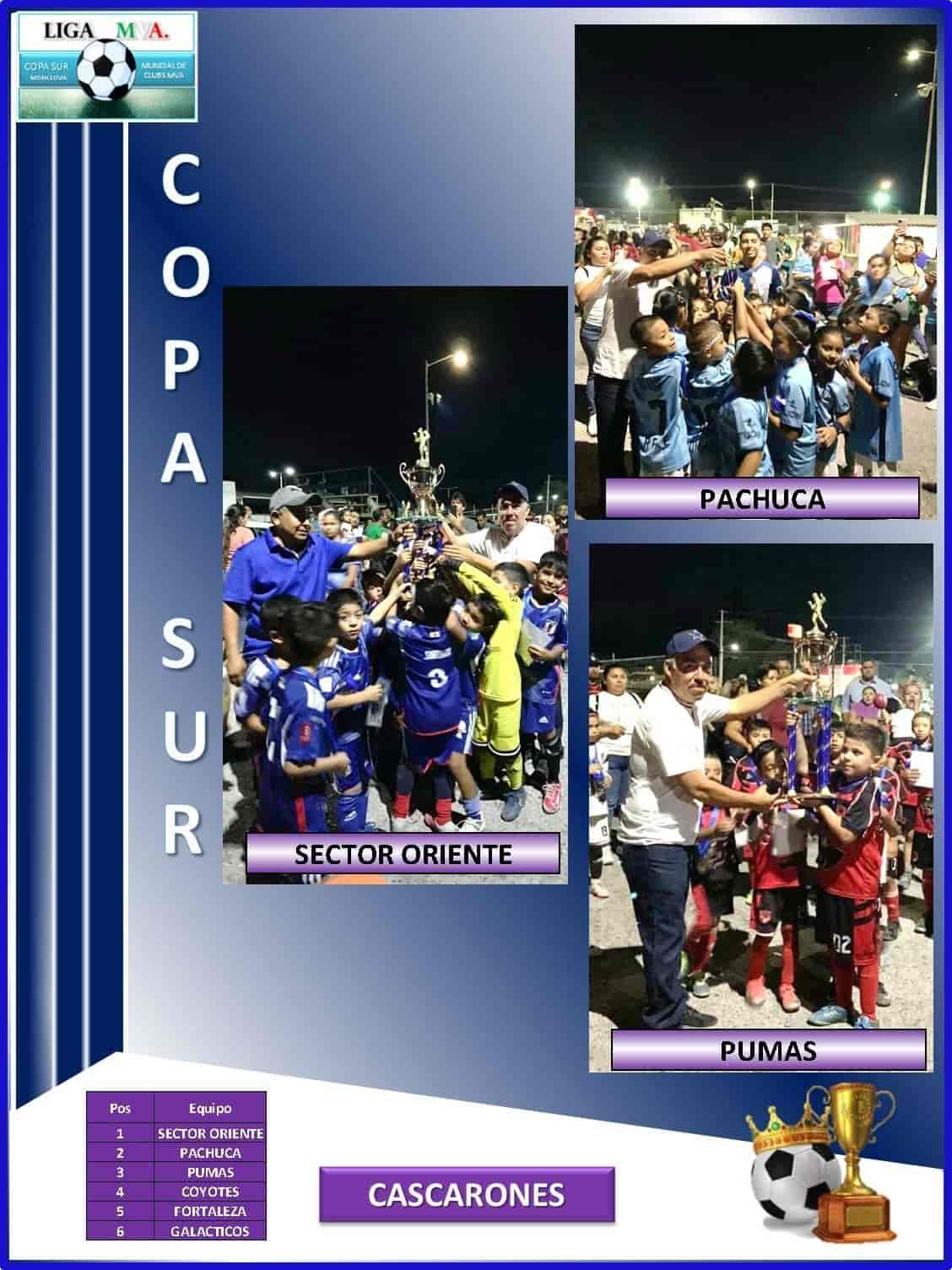 Copa del Sur ¡premia a sus campeones!