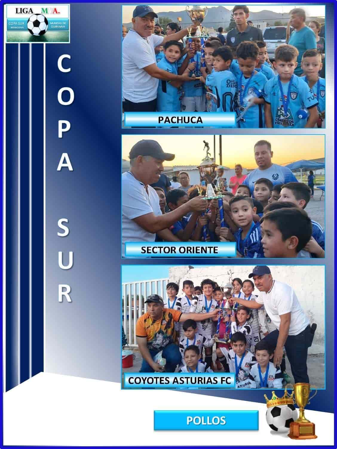 Copa del Sur ¡premia a sus campeones!