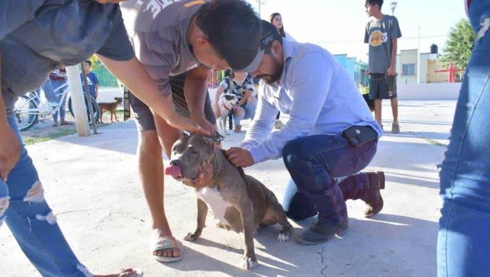 Vecinos aprovechan la campaña Bienestar Animal
