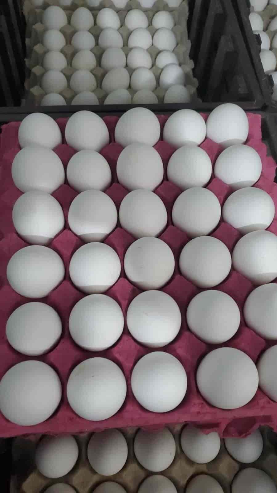 ¡Precio del huevo sube a 85 pesos! Incrementó un 21%.