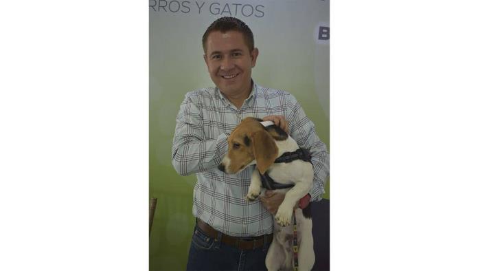 Tiene San Buena muchos perros y gatos