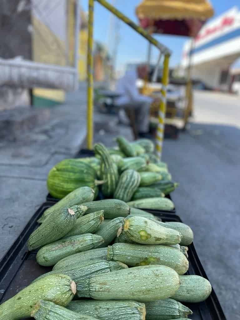 Vive Don Arturo de sus verduras