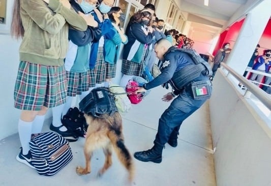 Reanudarán el operativo mochila