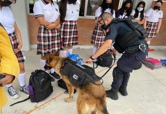 Reanudarán el operativo mochila