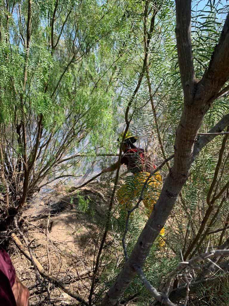 Se vuelve a quemar Los Pantanos; Se cree que son actos vandálicos