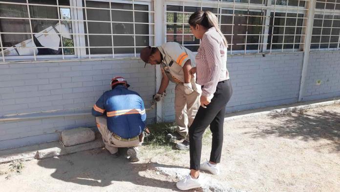 Causan ladrones corto en escuela