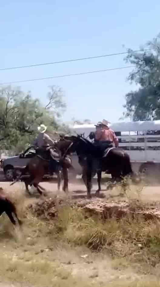 Justicia para Juan Vidal; buscan al asesino de la cabalgata 