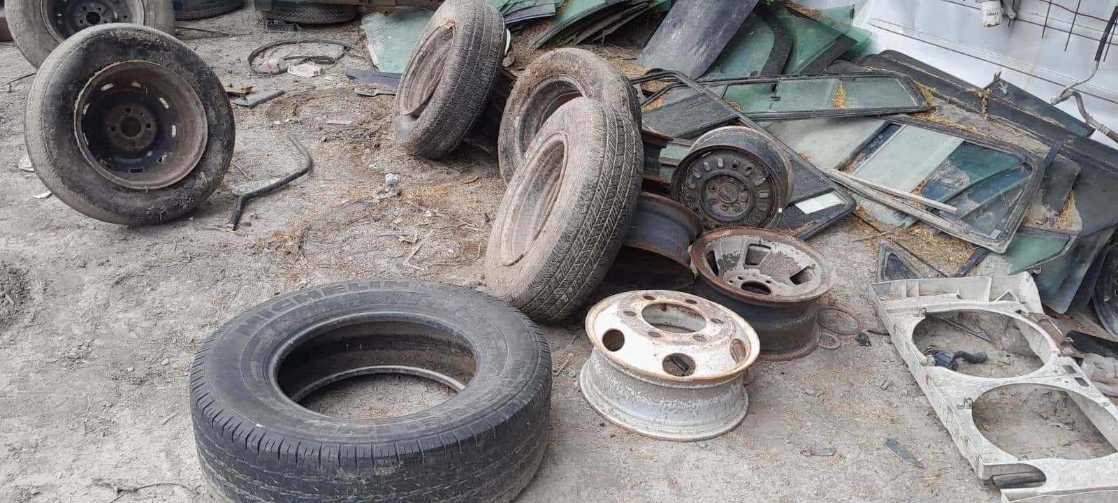 ¡Precaución! Aumentan casos por picaduras de arácnidos