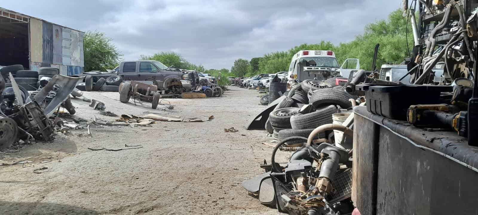 ¡Precaución! Aumentan casos por picaduras de arácnidos