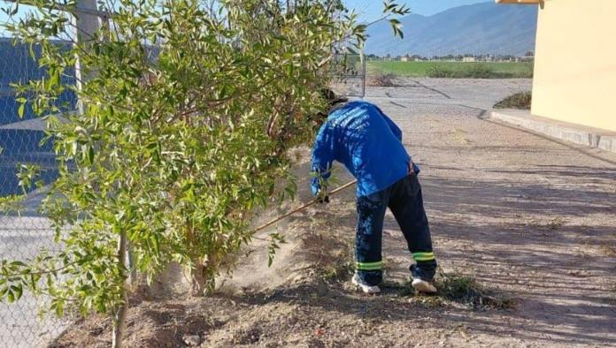 Limpian Ciénegas calles y escuelas