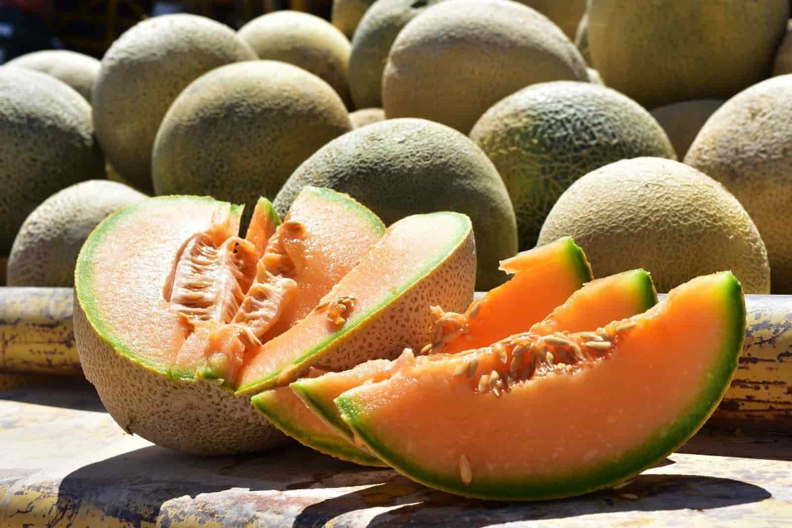 Melón de Ciénegas de la mejor calidad