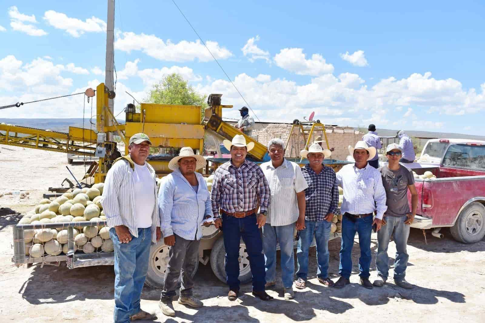 Melón de Ciénegas de la mejor calidad