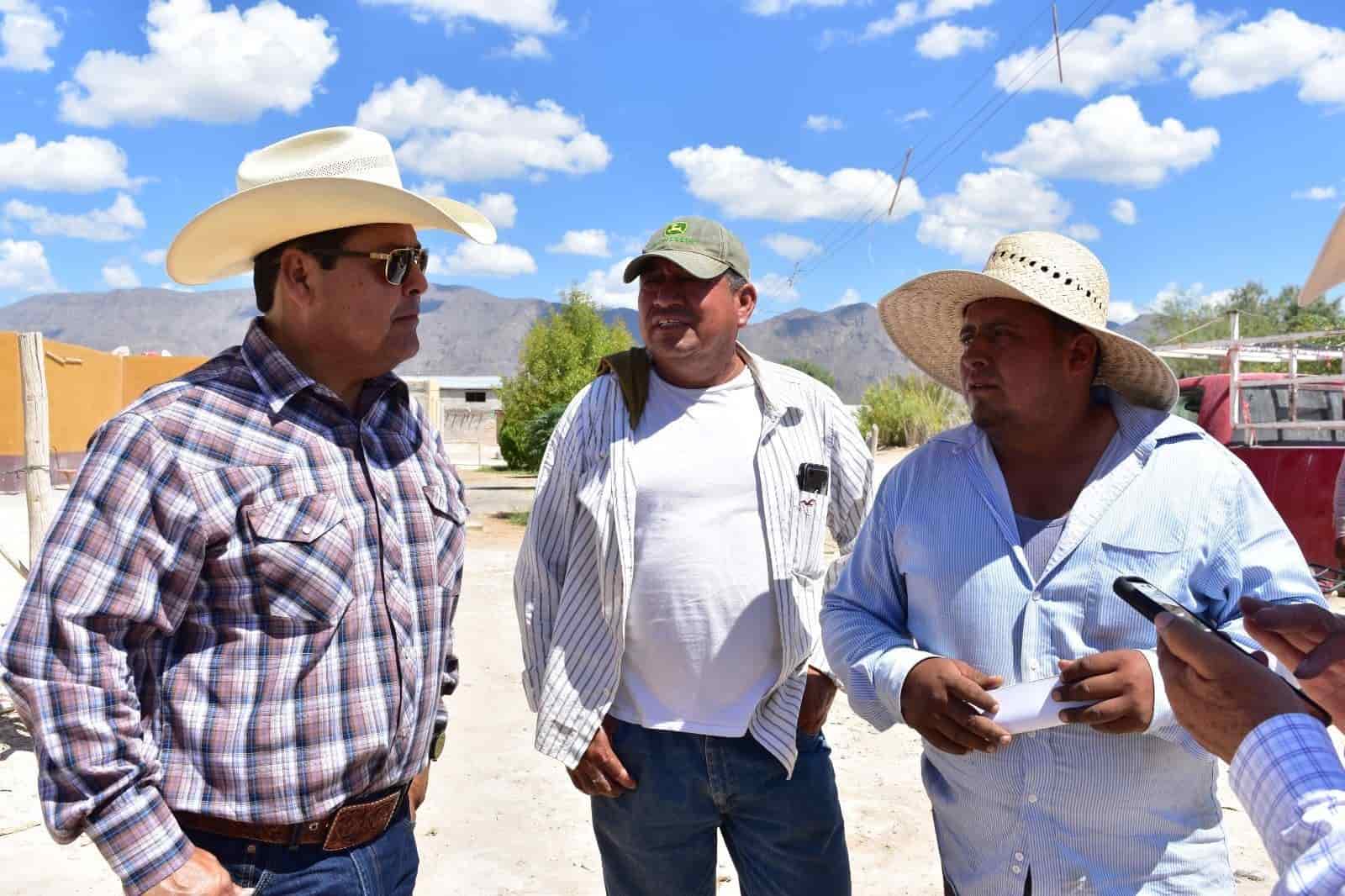 Melón de Ciénegas de la mejor calidad