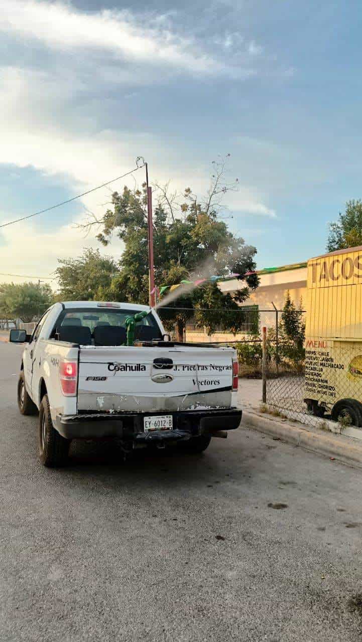 Reportan dos contagios confirmados de Dengue