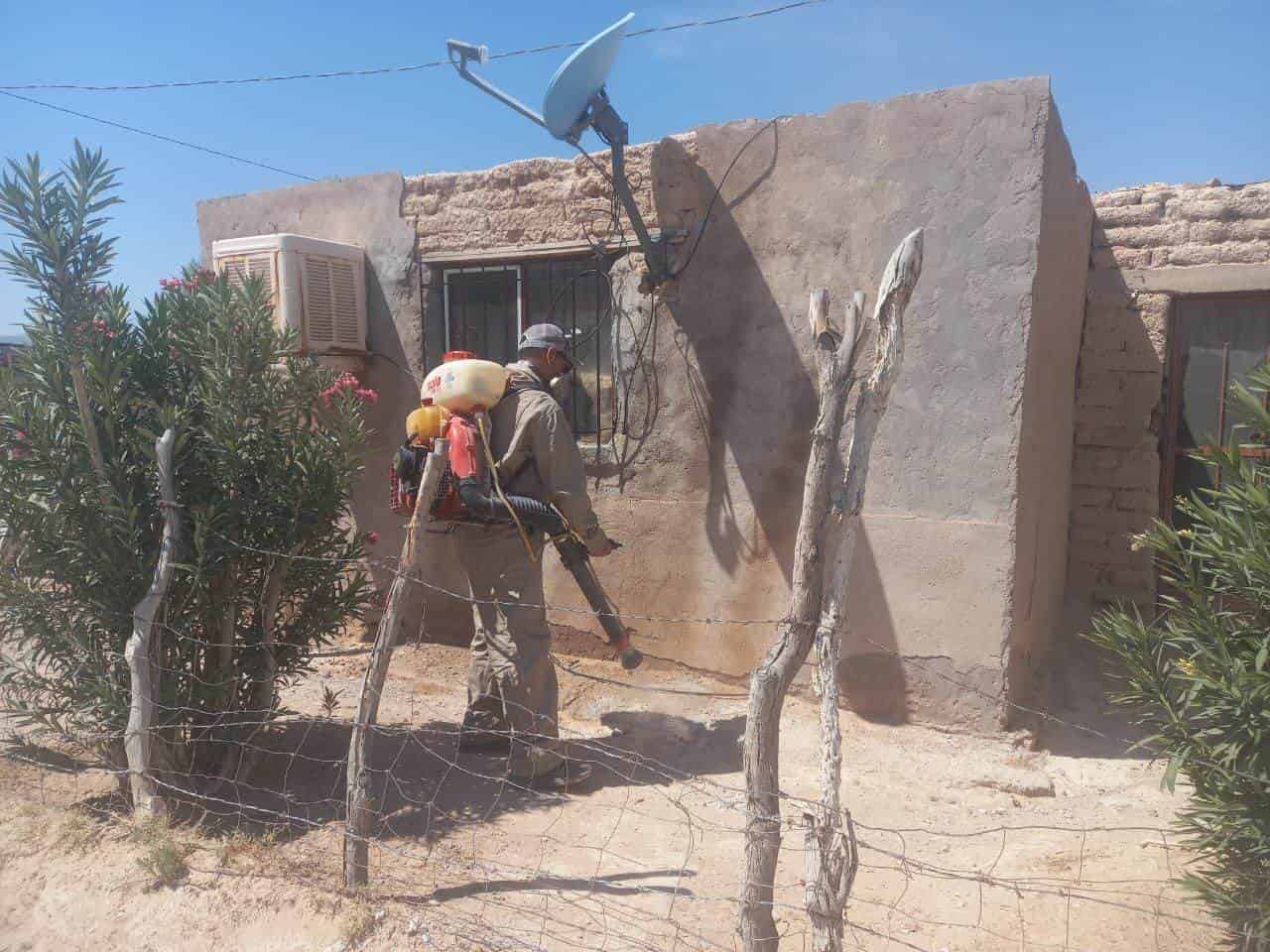 Fumigan en zonas rurales
