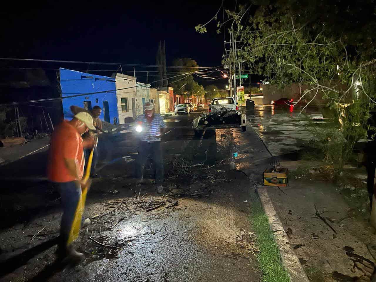 Deja tromba daños en San Buena