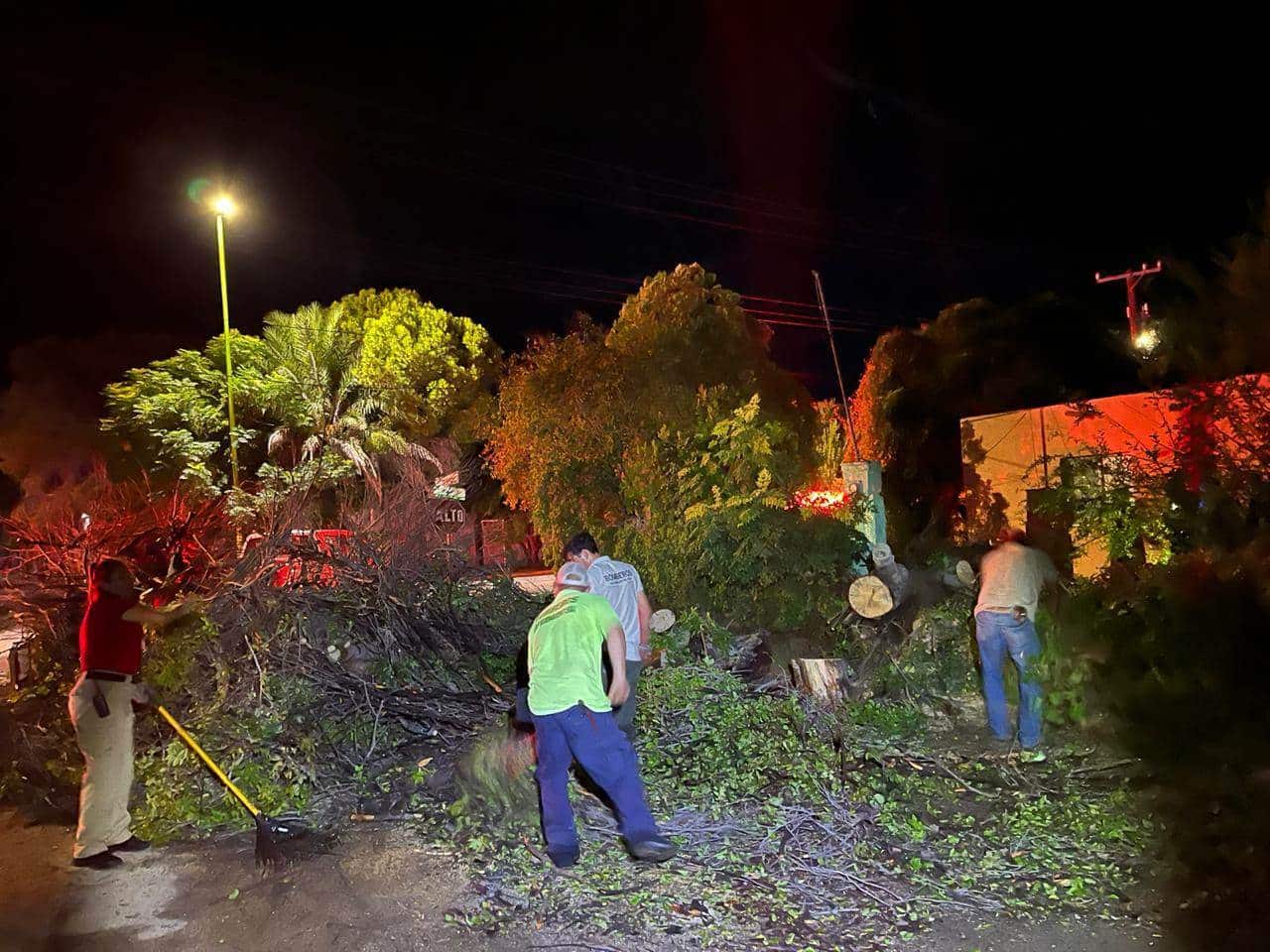 Deja tromba daños en San Buena