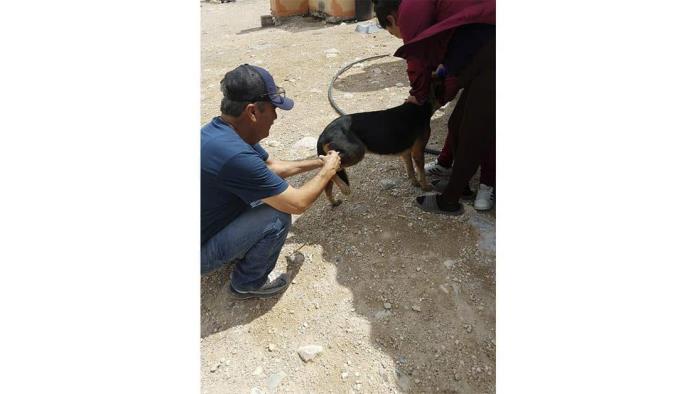 Fumigan ejidos en beneficio de mascotas