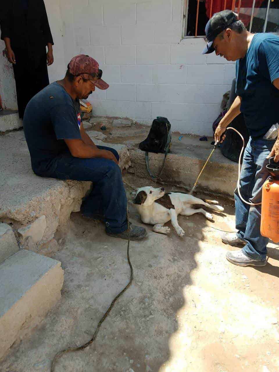 Fumigan ejidos en beneficio de mascotas