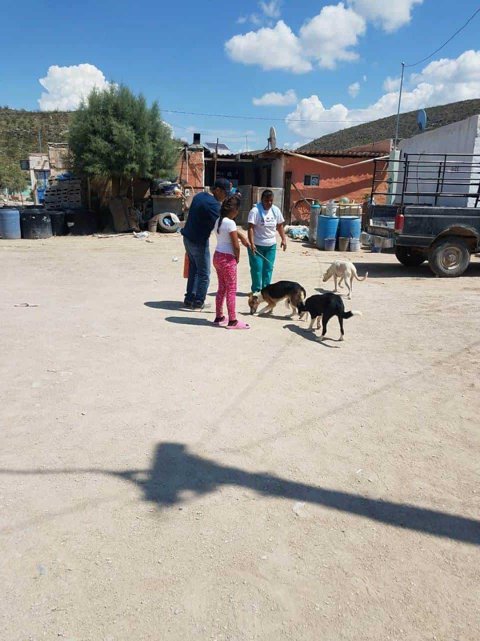 Fumigan ejidos en beneficio de mascotas