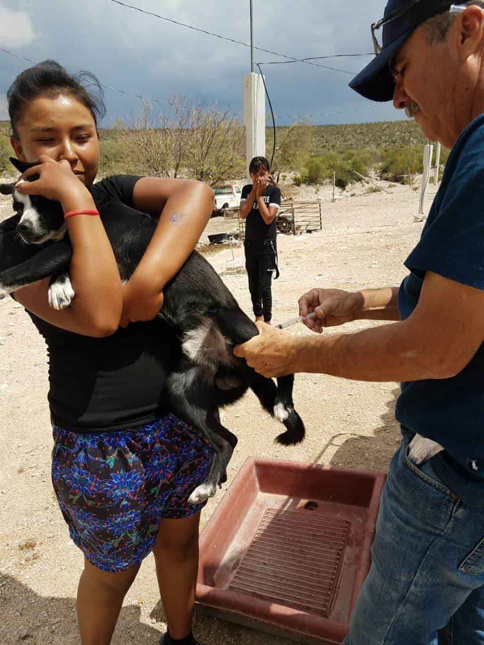 Fumigan ejidos en beneficio de mascotas