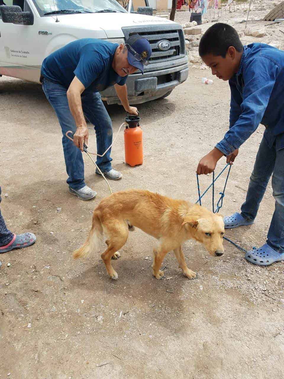 Fumigan ejidos en beneficio de mascotas