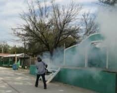 Fumigan instituciones educativas en Allende